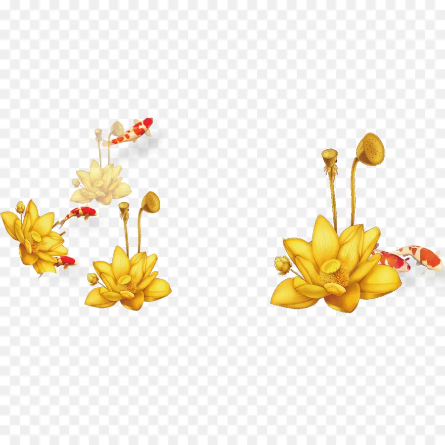 Flores Douradas，Peixe Koi PNG