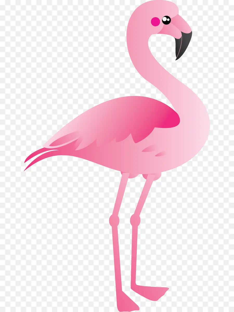 Flamingo De Plástico，Flamingo PNG