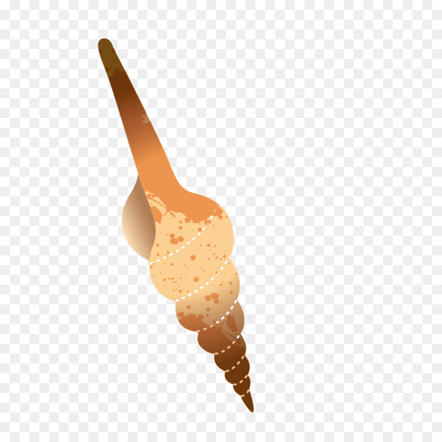 Mar，Seashell PNG