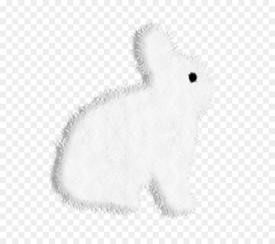 Coelhos，Lebre PNG