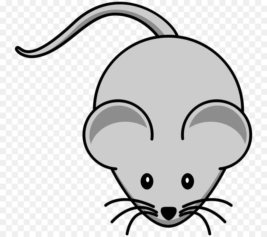 Rato Cinzento，Roedor PNG