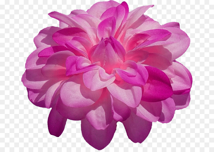 Flor，Roxo PNG