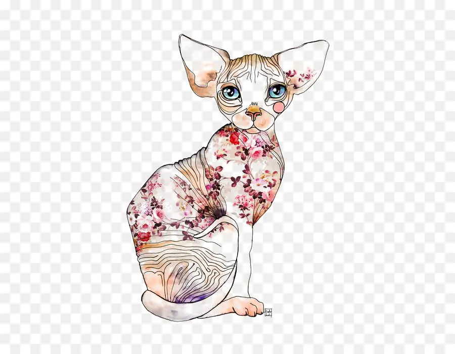 Gato Sphynx，Siamese Cat PNG