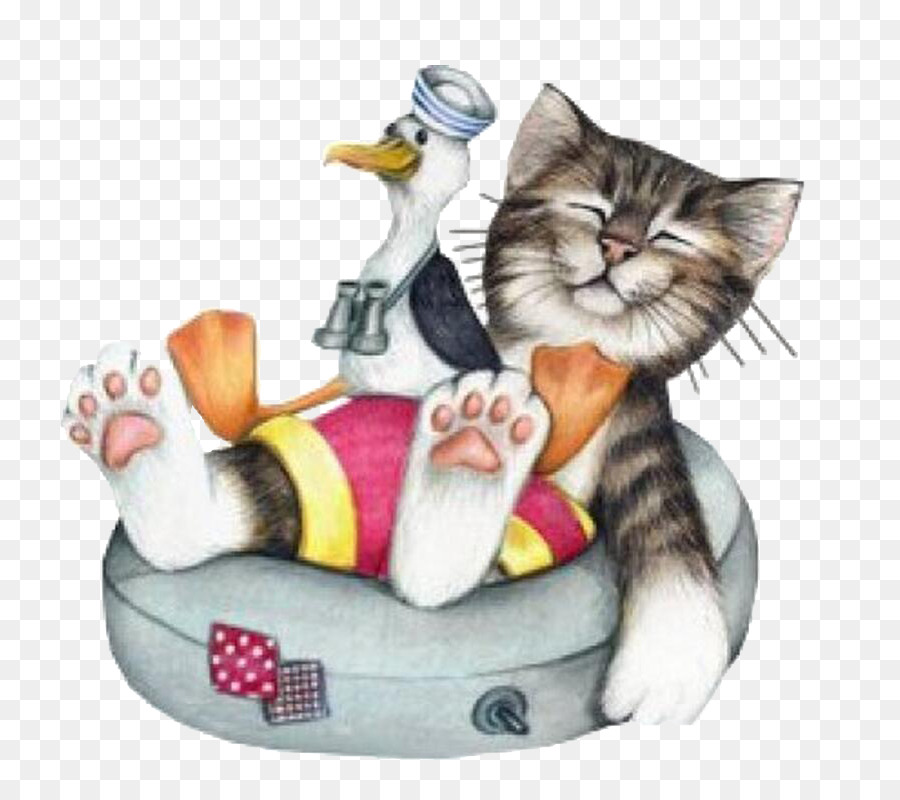 Gato E Gaivota，Relaxante PNG