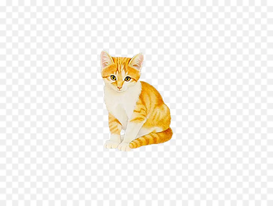 Gato，Gatinho PNG