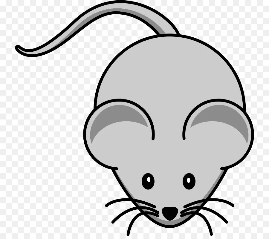 Rat，Mouse PNG