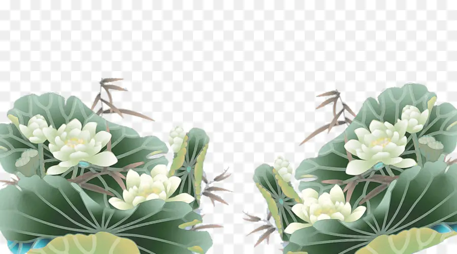 Lótus E Folhas，Flores PNG