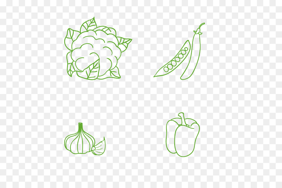 Vegetais，Couve Flor PNG