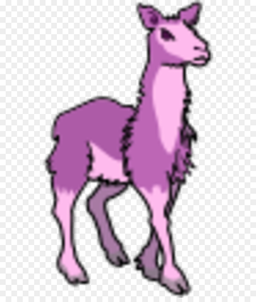 Lhama，Alpaca PNG