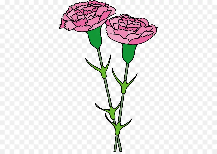 Cravos Rosa，Tronco PNG