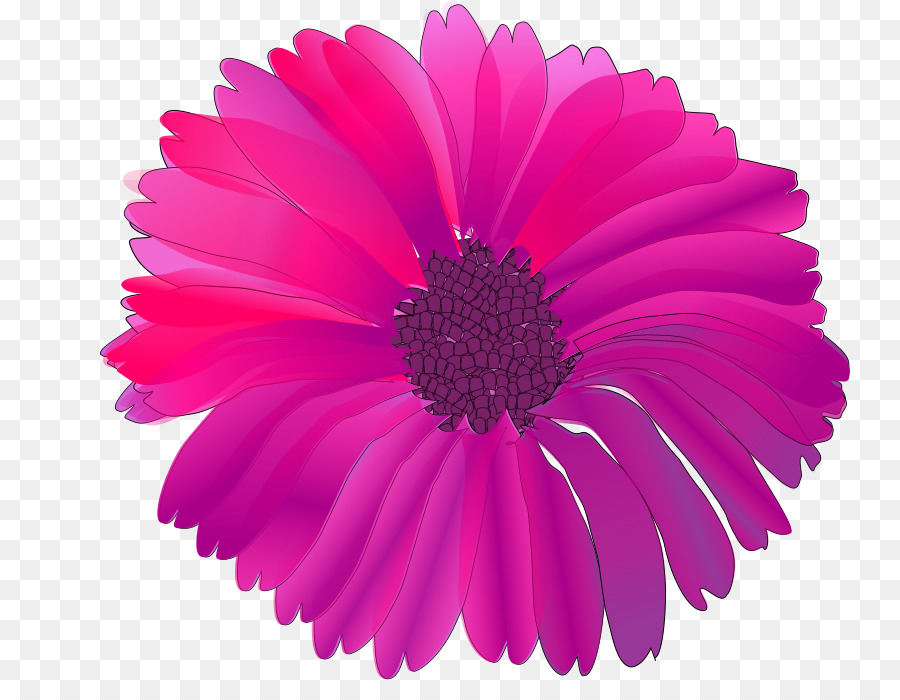 Flor Roxa，Florescer PNG