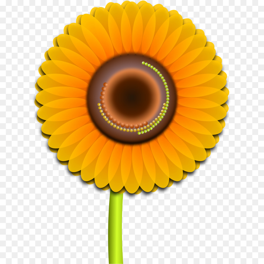 Comum De Girassol，Flor PNG