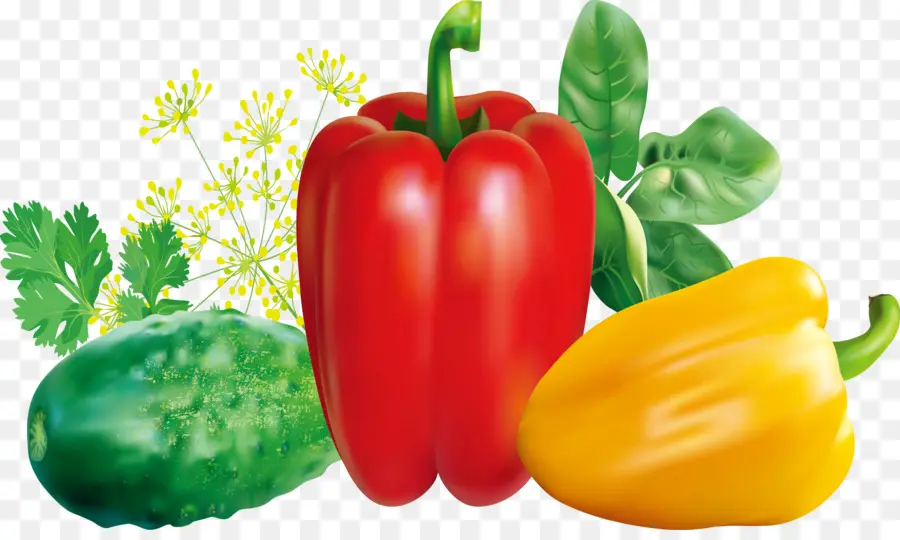 Pimenta，Pimentão PNG