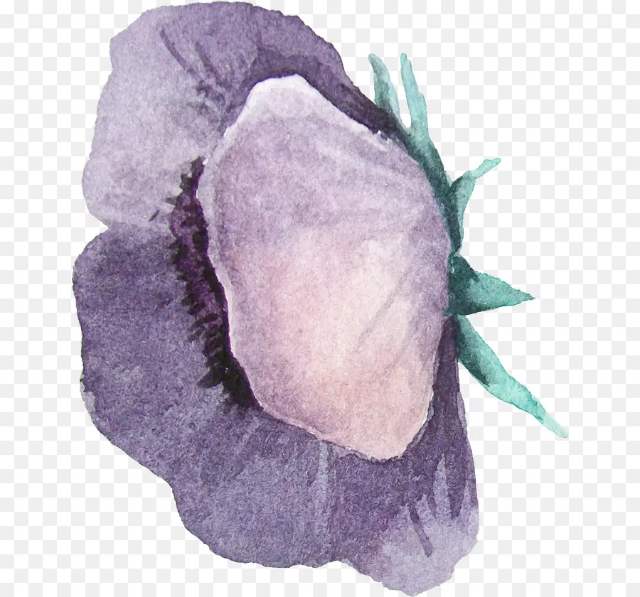 Aquarela Flores，Aquarela Paisagem PNG