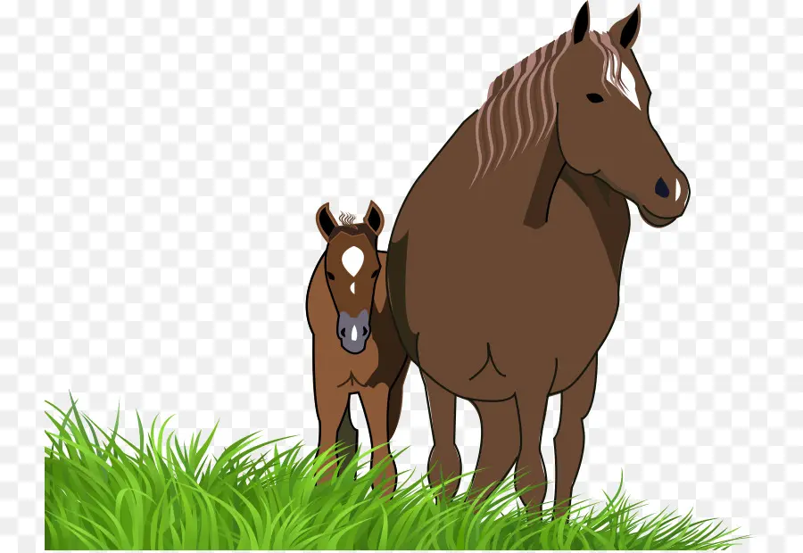 Cavalos，Mãe PNG