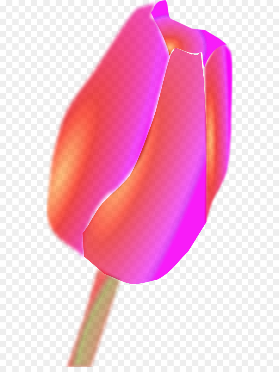 Flor，Tulip PNG