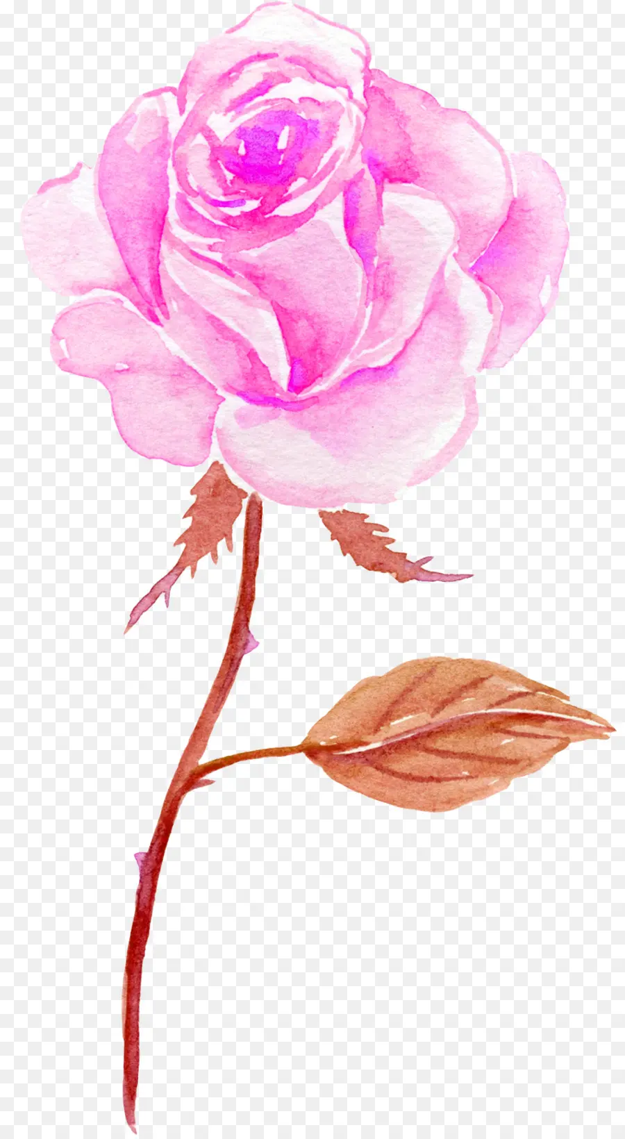 Flor，Pintura Em Aquarela PNG