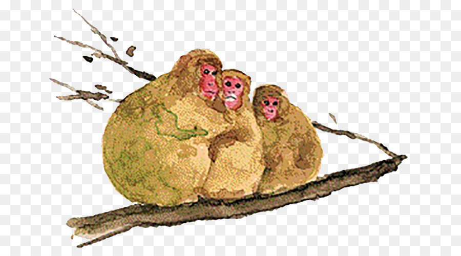 Macaco，árvore PNG