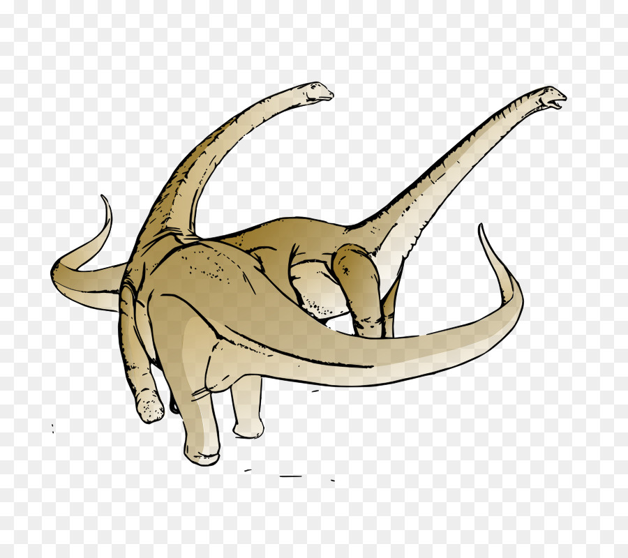 Alamosaurus，Conteúdo Grátis PNG