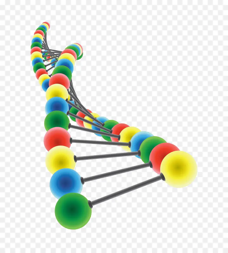 Dna，Royaltyfree PNG