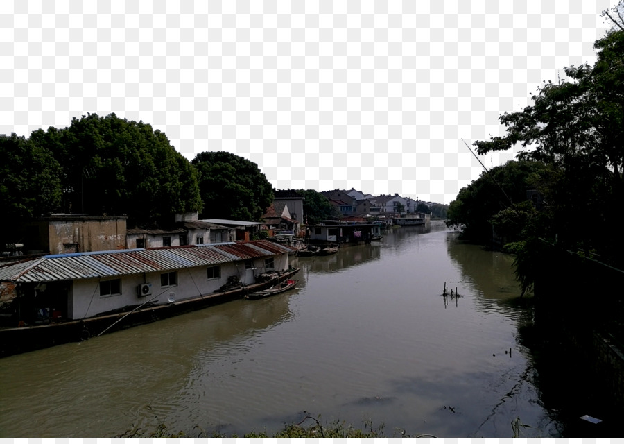 Tongli，Designer PNG