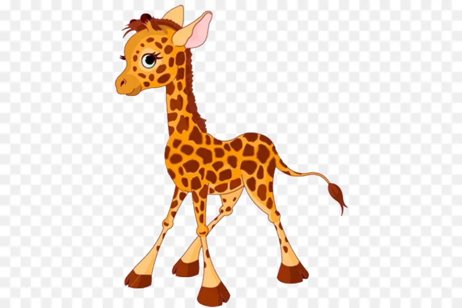 Girafa，Alto PNG