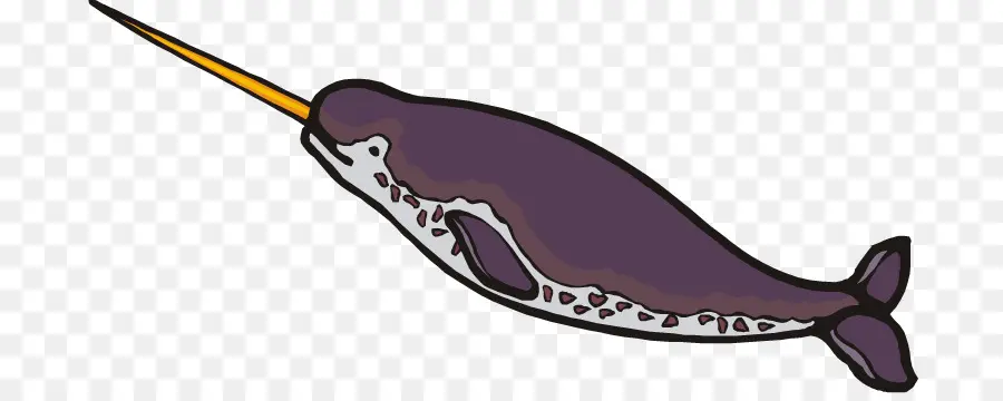 Narwhal，Baleias Dentadas PNG