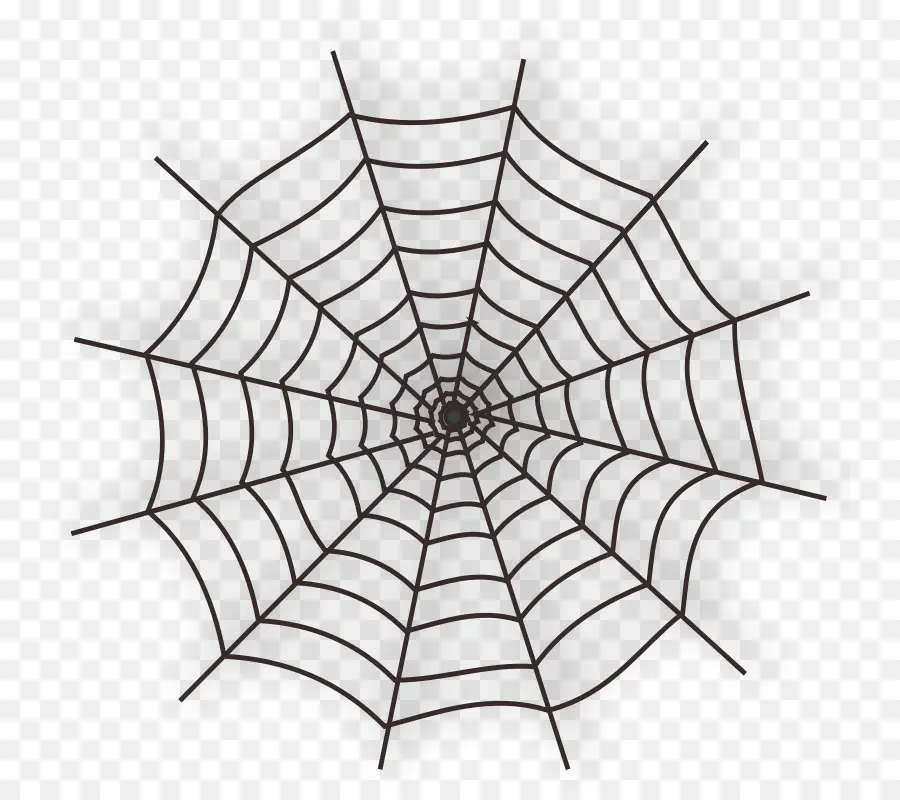 Teia De Aranha，Aranha PNG