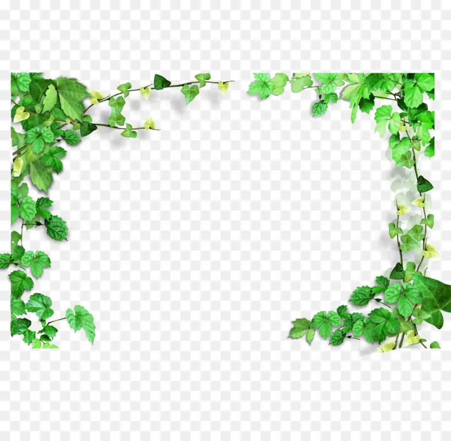 Verde，Planta PNG