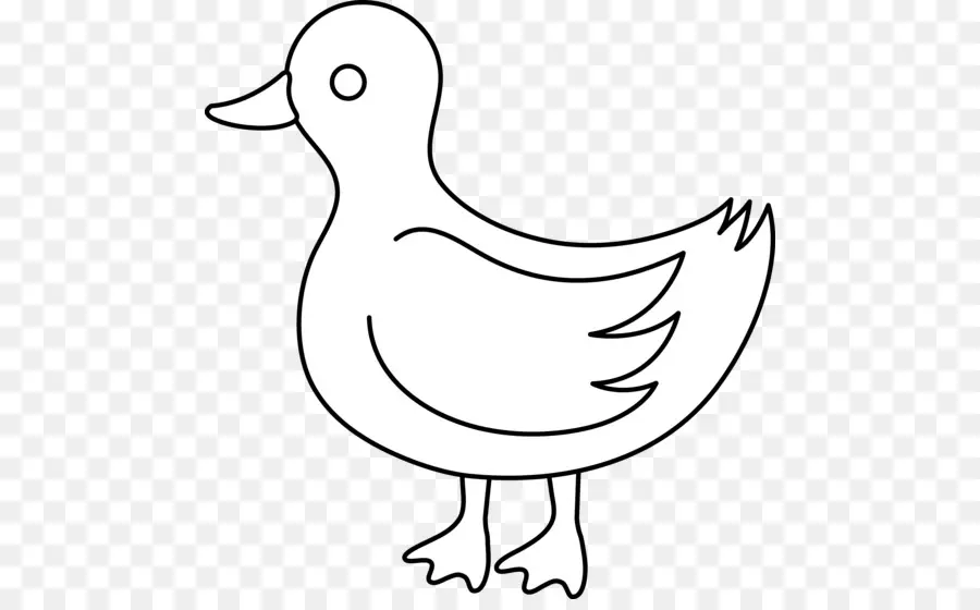 Pato，Pássaro PNG