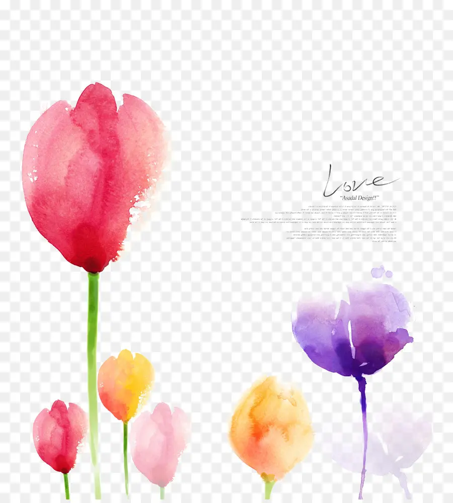 Flores Em Aquarela，Pintura PNG