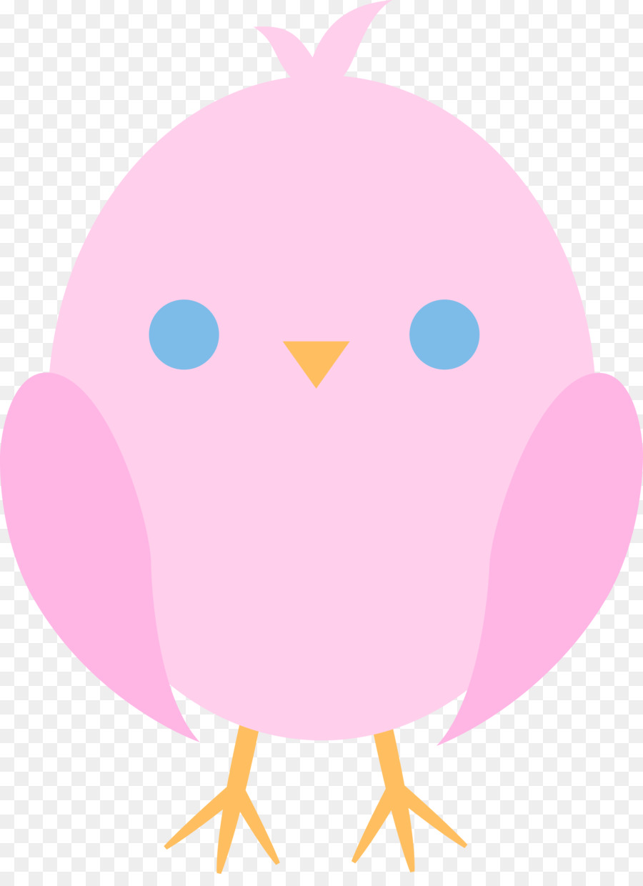 Aves，Desenho PNG