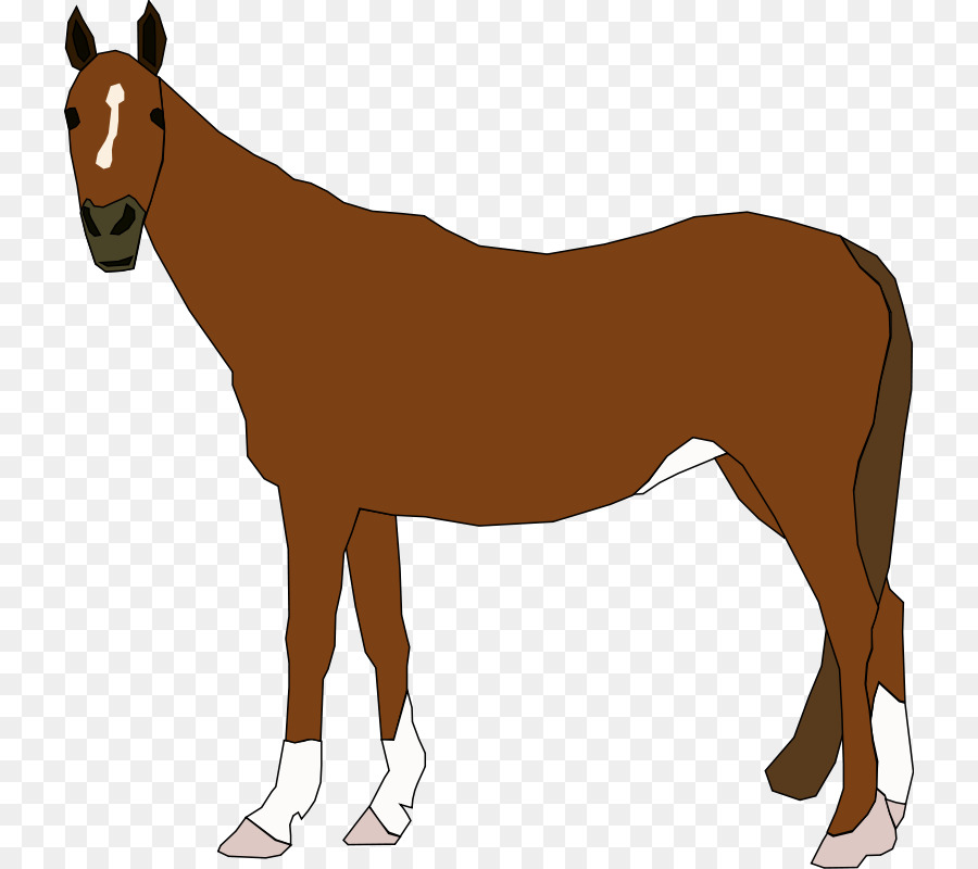 Cavalo，Equino PNG