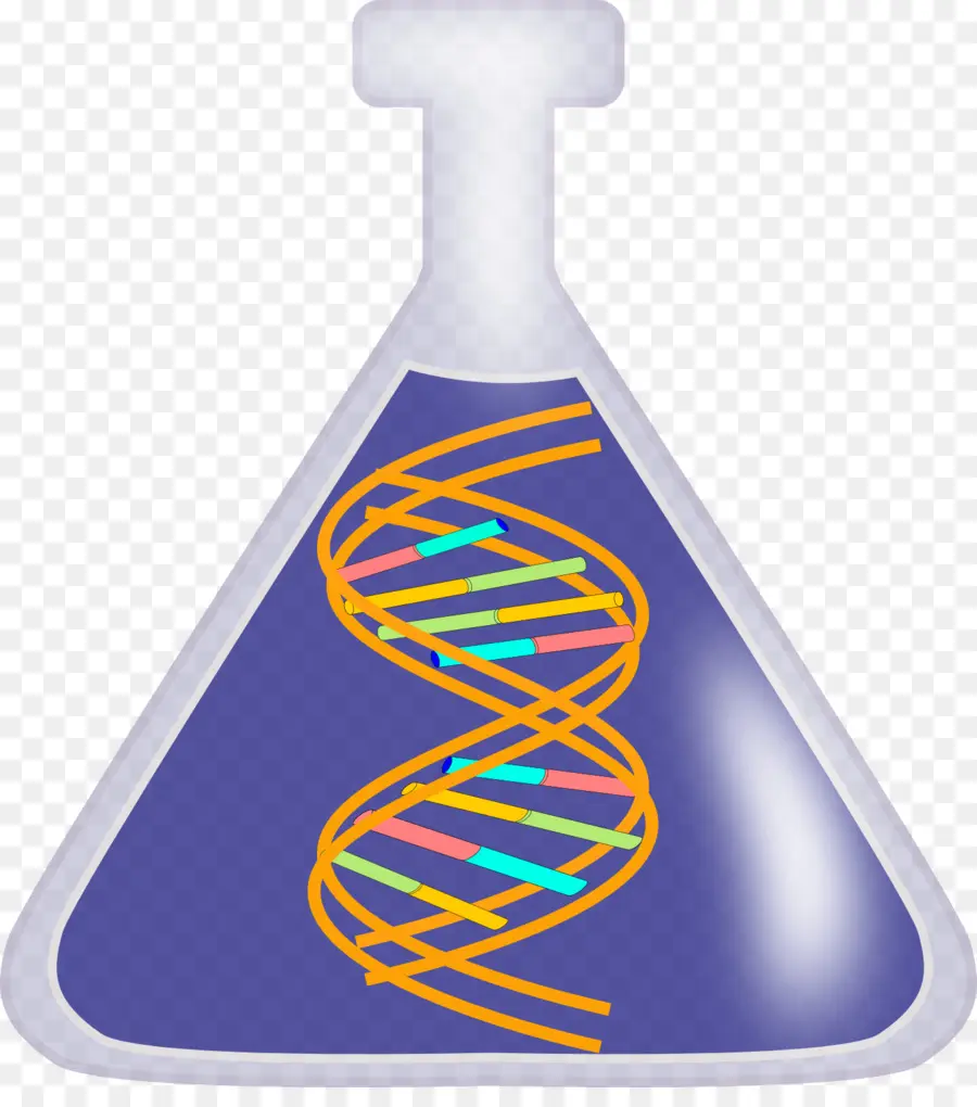 Dna Em Frasco，Genética PNG