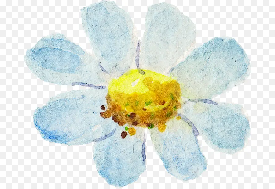 Flor Aquarela，Pintura PNG