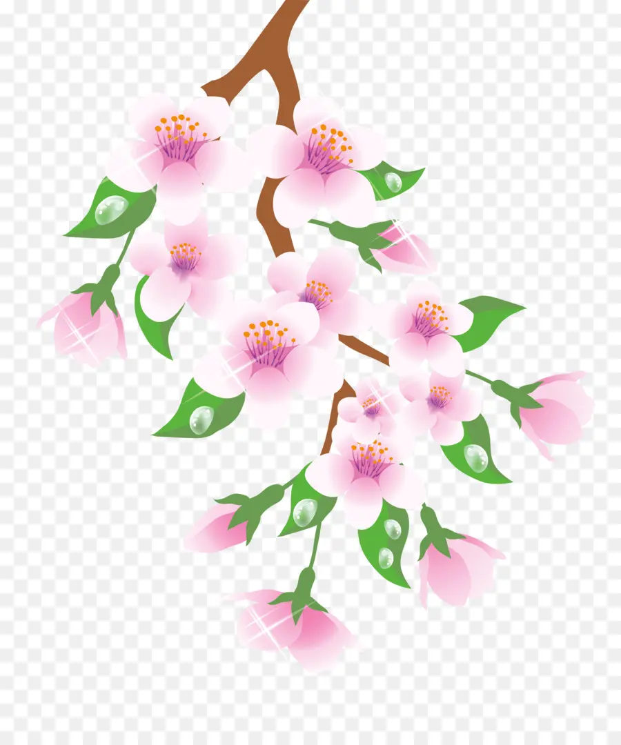 Flor De Cerejeira，Filial PNG