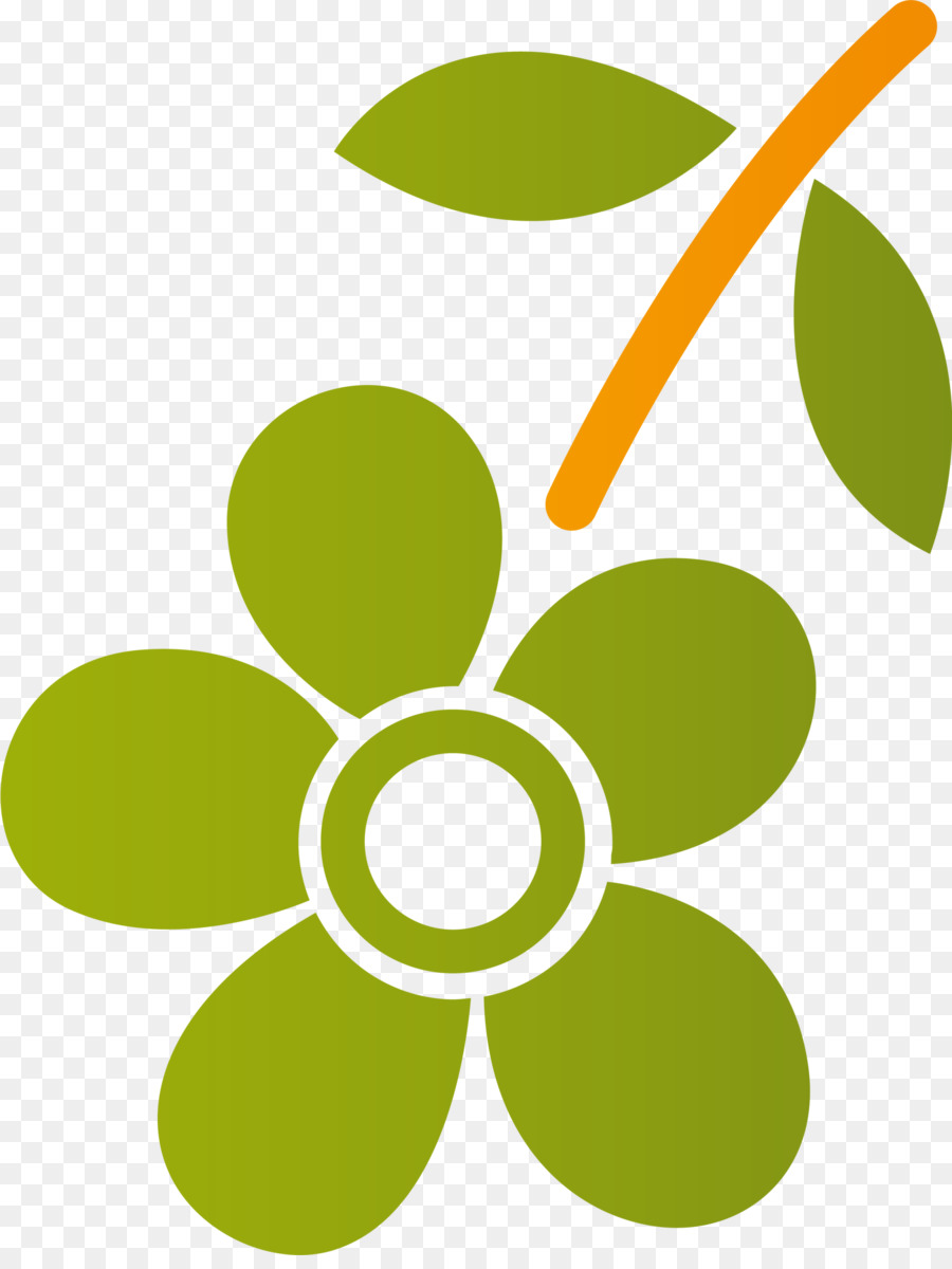 Flor Verde，Folha PNG