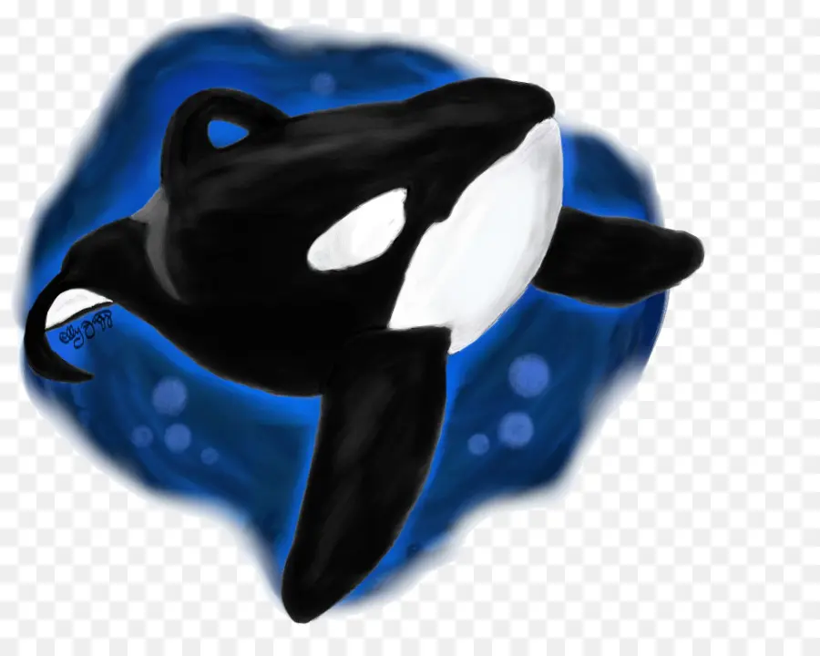 Ilustração De Orca，Baleia PNG