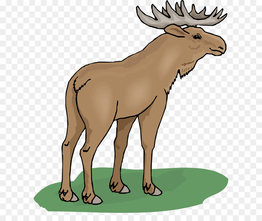 Moose，Cartoon PNG
