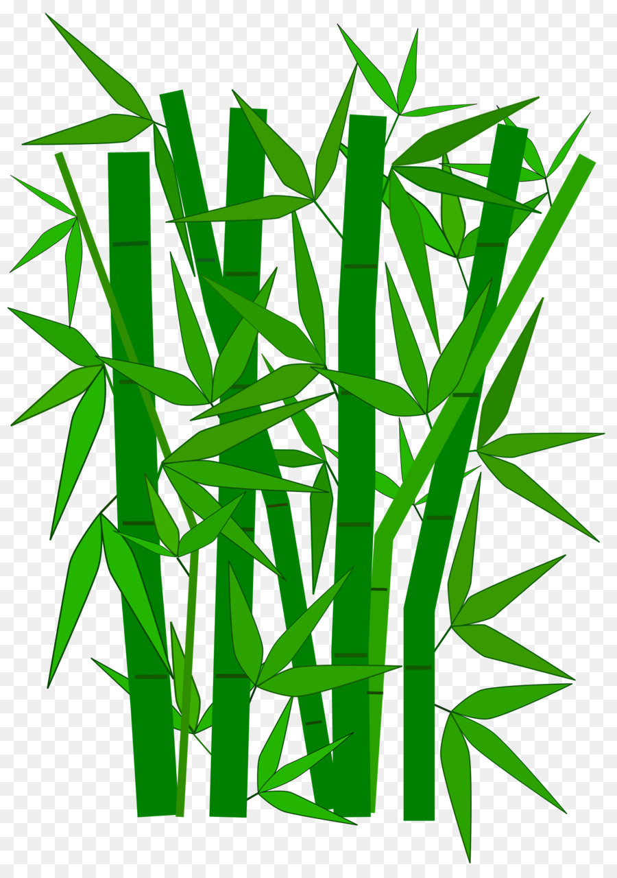 Bambu，Verde PNG