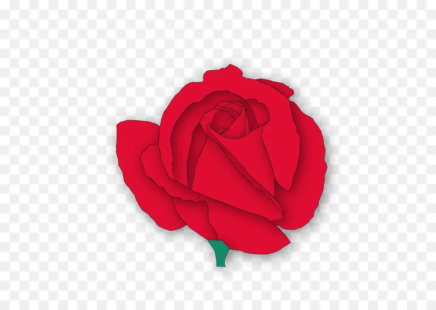 Rosa Vermelha，Florescer PNG