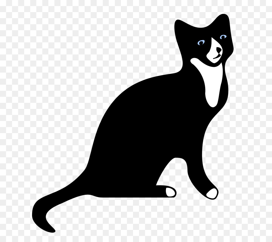 Gato，Cão PNG