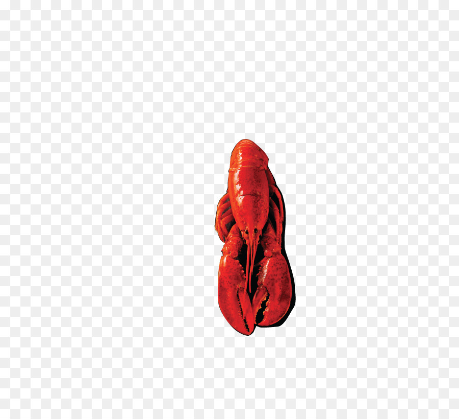 Vermelho，Sapato PNG