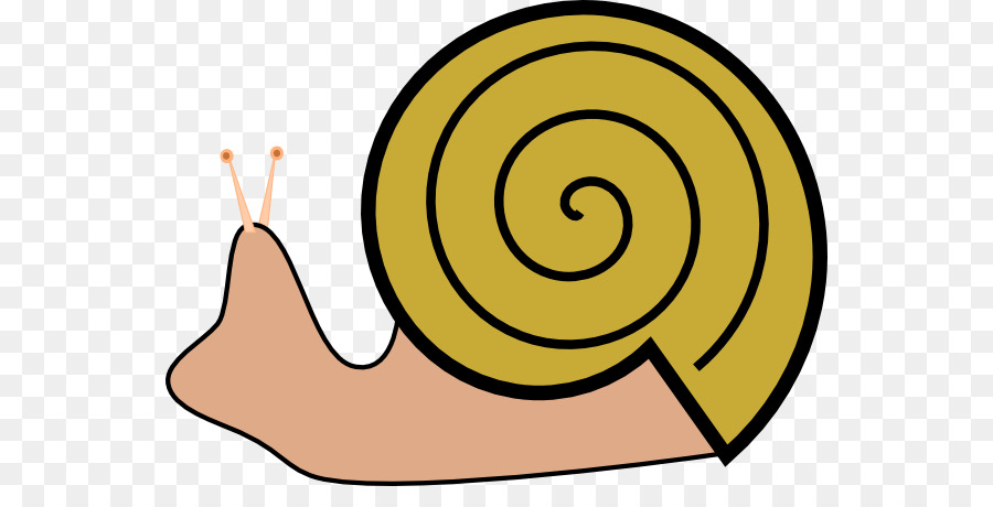 Caracol Cinzento，Concha PNG