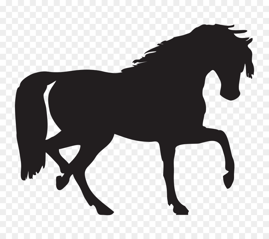 Cavalo, Branco, Scalable Vector Graphics png transparente grátis