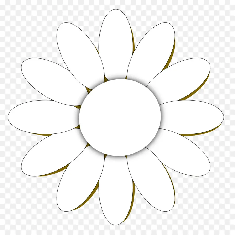 Flor，Branco PNG