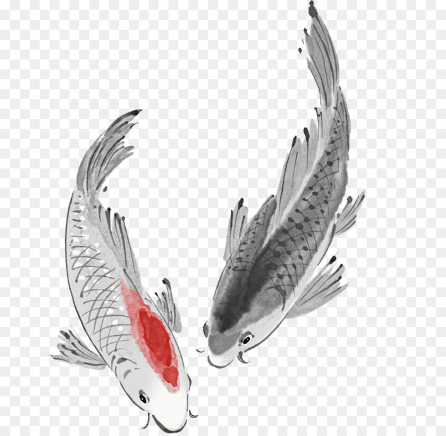 Peixe Koi，Lago PNG