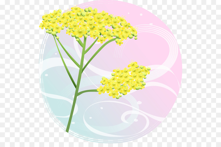 Flor，Amarelo PNG