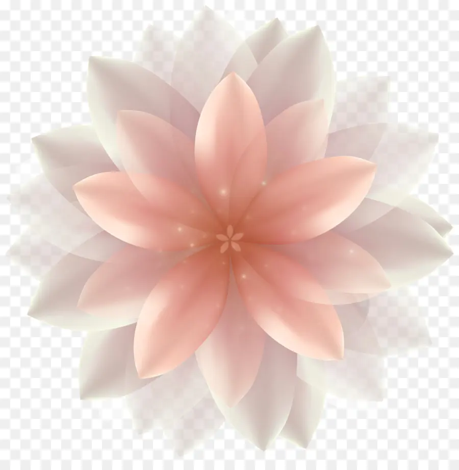 Flor，Dahlia PNG