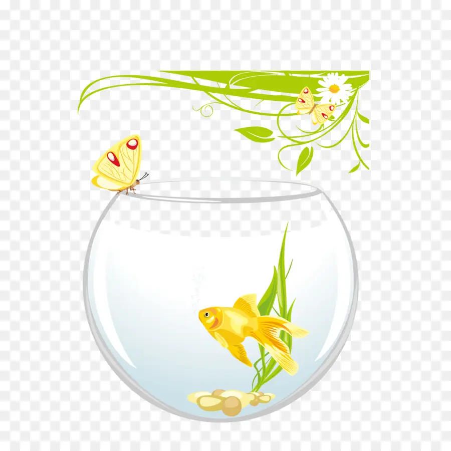 Koi，Carassius Auratus PNG